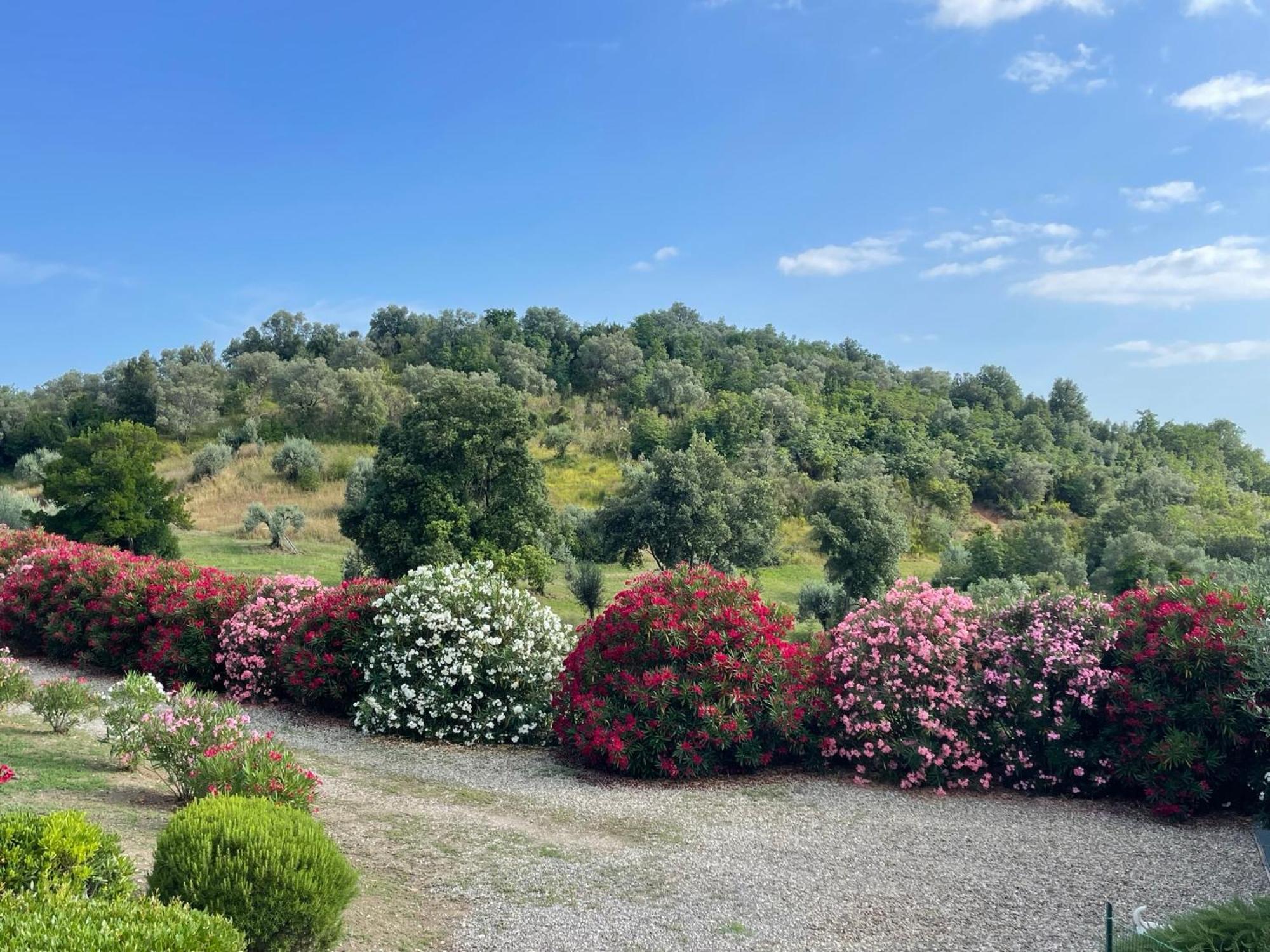Tenuta Montemassi Podere Montauzzo Dış mekan fotoğraf